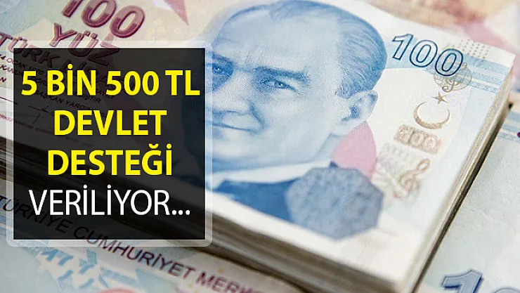 5 Bin 500 TL Devlet Desteği Veriliyor! İşte Detaylar