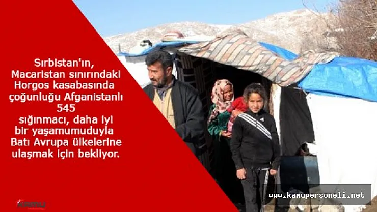 545 Sığınmacı Daha İyi Bir Yaşam Umuduyla Gün Sayıyor