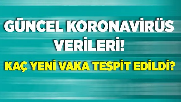 6 Ağustos koronavirüs verileri! Türkiye'de son durum nasıl? Kaç yeni vaka tespit edildi?