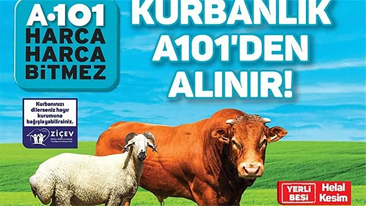A101 KURBANLIK FİYATLARI BELLİ OLDU