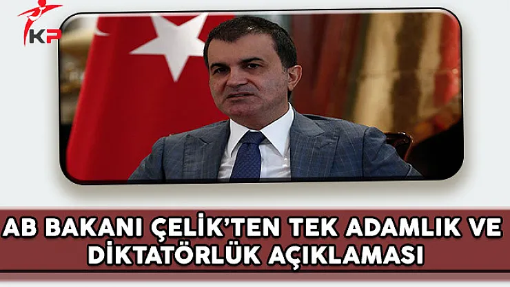 AB Bakanı Çelik'ten Tek Adamlık ve Diktatörlük Açıklaması