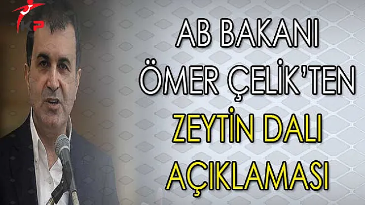 AB Bakanı Çelik'ten Zeytin Dalı Açıklaması