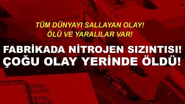 ABD'de fabrikada nitrojen sızıntısı! Ölü ve yaralılar var!