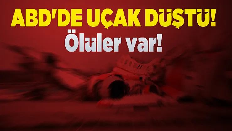 ABD'de uçak düştü! Ölüler var!