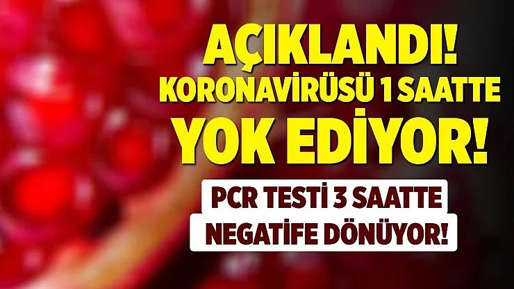 Açıklandı! Koronavirüsü sadece 1 saatte yok ediyor!
