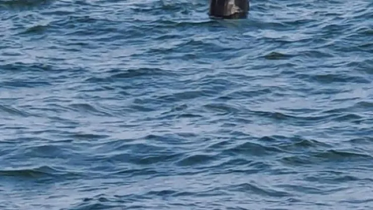 Acil durum: Ukrayna'nın Karadeniz'e bıraktığı mayın İstanbul Boğazına kadar geldi!