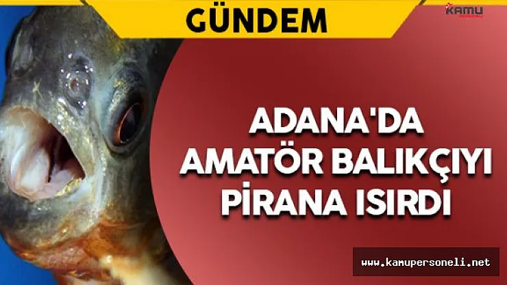 Adana'da Amatör Balıkçıyı Pirana Isırdı