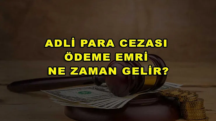 Adli Para Cezası Ödeme Emri Ne Zaman Gelir?