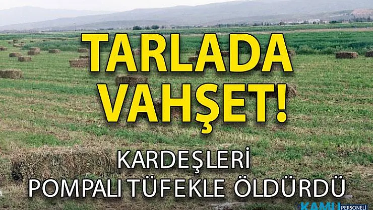 Afyonkarahisar'da cinayet! Tarlada 2 kardeşi tüfekle öldürdü