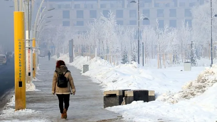 Ağrı'da dondurucu soğuk hava