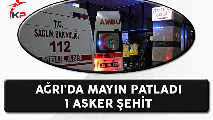 Ağrı'da Teröristlerin Yerleştirdiği Mayın Patladı!