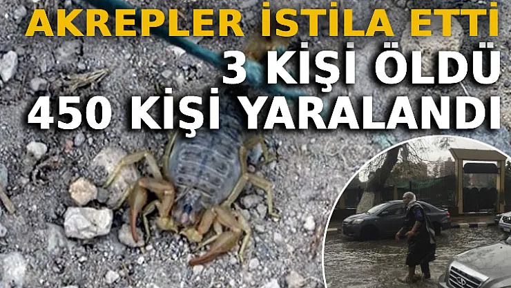 Akrepler İstila Etti: 3 Kişi Öldü, 450 Kişi Yaralandı