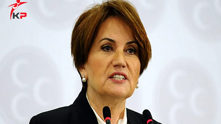 Akşener'in Yeni Partisine 'Bozkurt' ve 'Başbuğ' Yasağı