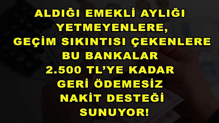Aldığı emekli aylığı yetmeyenlere, geçim sıkıntısı çekenlere bu bankalar 2.500 TL'ye kadar geri ödemesiz nakit desteği sunuyor!