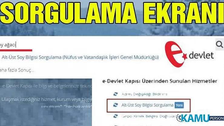 Alt Üst Soy Bilgisi Sorgulama Nasıl Yapılır? E-Devlet Soy Bilgisi Sorgulama Ekranı