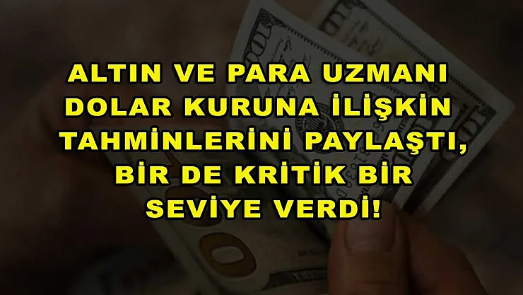 Altın ve Para Uzmanı dolar kuruna ilişkin tahminlerini paylaştı, bir de kritik bir seviye verdi!