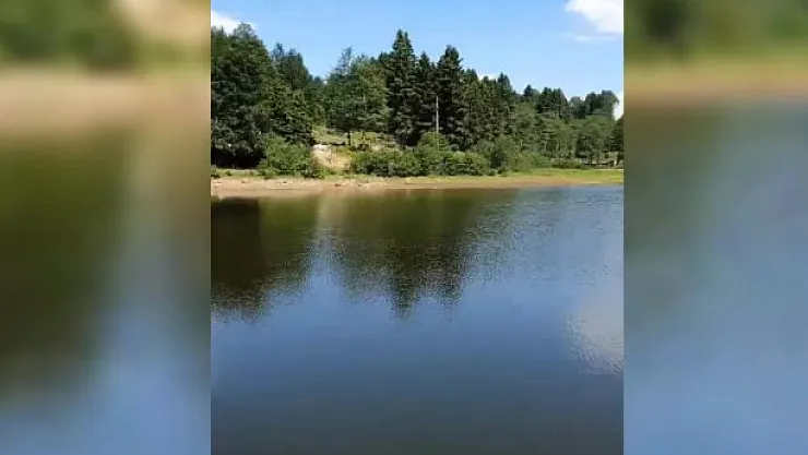 Amasya, Bolu ve Trabzon'da bulunan 15 yayla imara açılıyor!