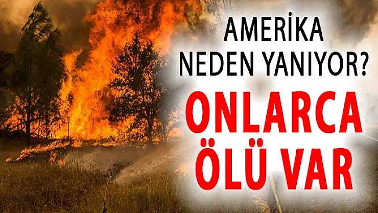 Amerika (ABD) Neden Yanıyor? Onlarca Ölü Var !