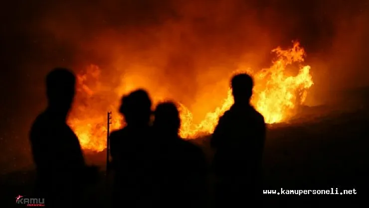 Ankara'da Bir Çiftlikte Yangın Çıktı