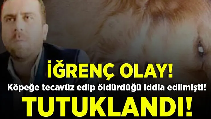Ankara'da iğrenç olay! Köpeğe tecavüz edip, öldürdüğü iddia edilen Volkan Uzun tutuklandı!