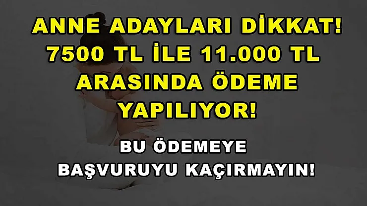 Anne Adayları Dikkat! 7.500 TL ile 11.000 TL Arasında Ödeme Yapılıyor! Bu Ödemeye Başvuruyu Kaçırmayın!