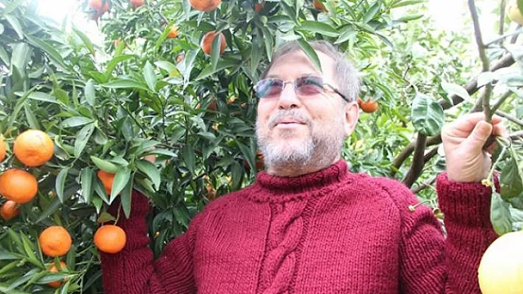 Antalya'da Bir ağaçta 4 ayrı meyve yetişti