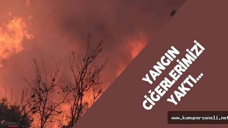 Antalya'daki Orman Yangını Ciğerlerimizi de Yaktı