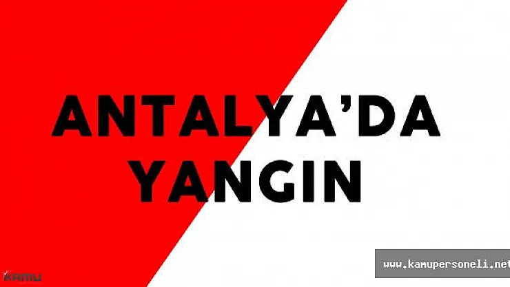 Antalya'daki Orman Yangını Söndürülmeye Çalışılıyor