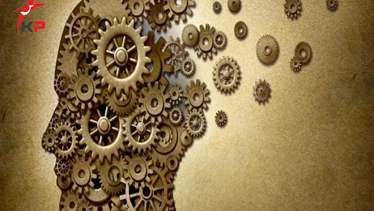 AÖF Felsefe Bölümü Detayları ve İş Olanakları