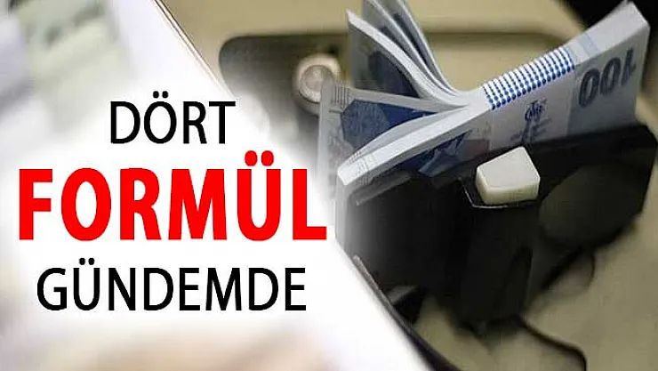 Asgari Ücret İçin 4 Formül Gündeme Geldi ! 2019'da Asgari Ücret Ne Kadar Olacak?