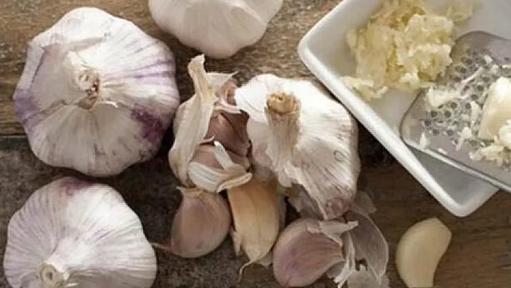 Aslında hepimiz yanlış biliyormuşuz! Soğan ve sarımsağı sakın böyle yemeyin! Çünkü..