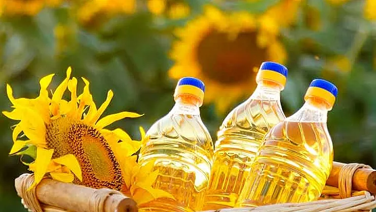 Ayçiçeğinde Kriz Yılı! Türkiye'nin Krizin Üstesinden Nasıl Geleceği Belli Oldu!