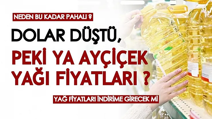Ayçiçek yağı fiyatları neden bu kadar pahalı? Doların düşüşünün ayçiçek yağı fiyatlarına etkisi...