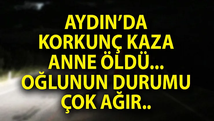 Aydın'ın Çine'de Trafik Kazası! Ölü ve Yaralılar Var