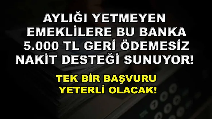 Aylığı yetmeyen emeklilere bu banka 5.000 TL geri ödemesi nakit desteği sunuyor! Tek bir başvuru yeterli olacak!