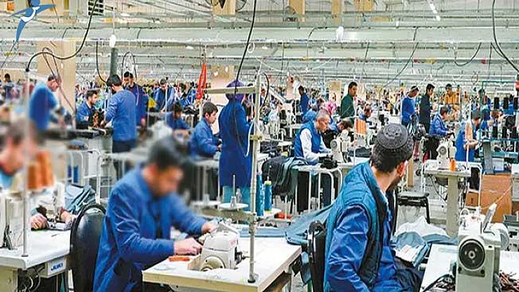 Bakan Açıkladı: 2 Milyon İstihdam Oluşturulacak !