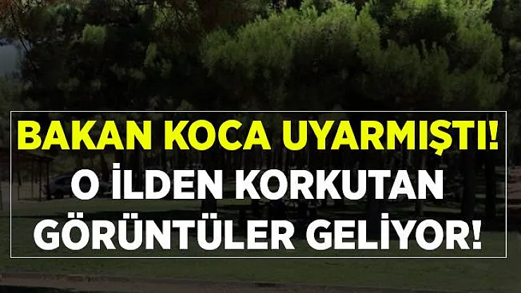 Bakan Koca ısrarla o ili uyarmıştı! Gelen görüntüler şoke etti!