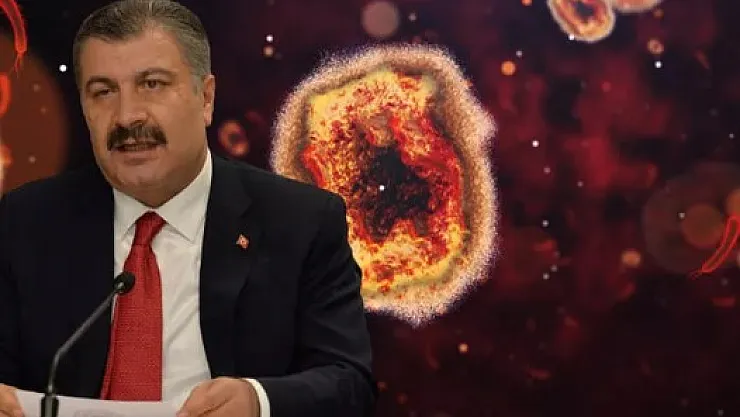 Bakan Koca kötü haberi verdi: Ülkemizde maymun çiçeği virüsü görüldü! Belirtileri neler, nasıl bulaşıyor?