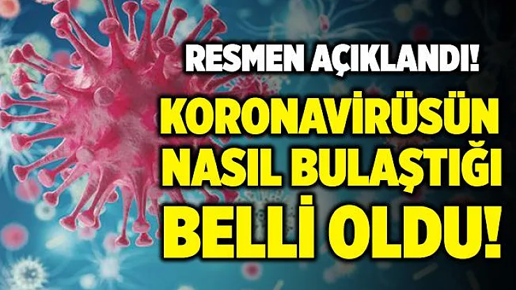 Bakan Koca resmen duyurdu! Koronavirüsün bu şekilde bulaştığı netlik kazandı!