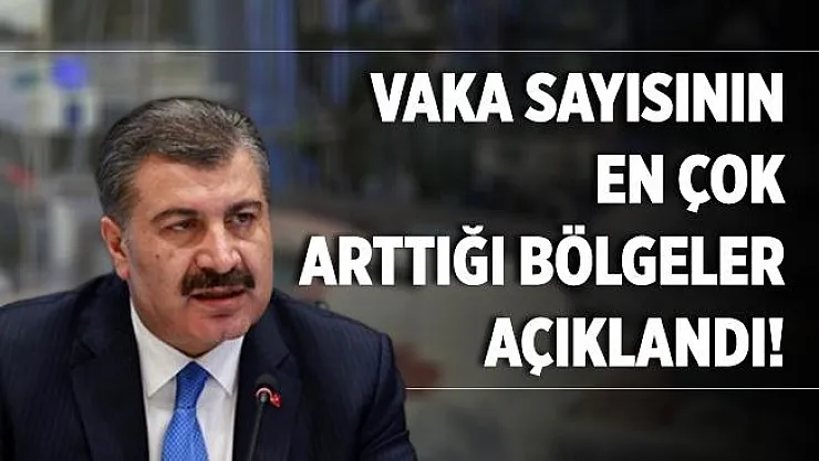 Bakan Koca vaka sayısının en çok arttığı illeri açıkladı!