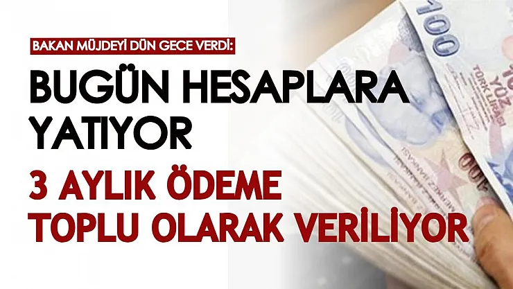 Bakan müjdeyi herkesle paylaştı: Dün gece itibariyle hesaplara yatmaya başladı! 3 aylık ödemeler toplu olarak veriliyor