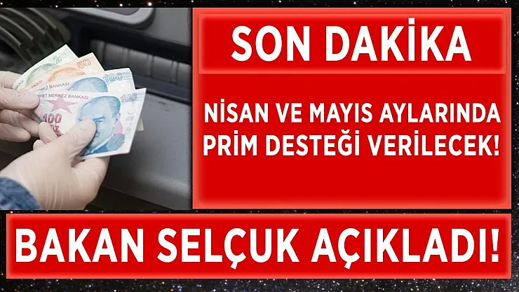 Bakan Selçuk'tan prim desteği açıklaması!