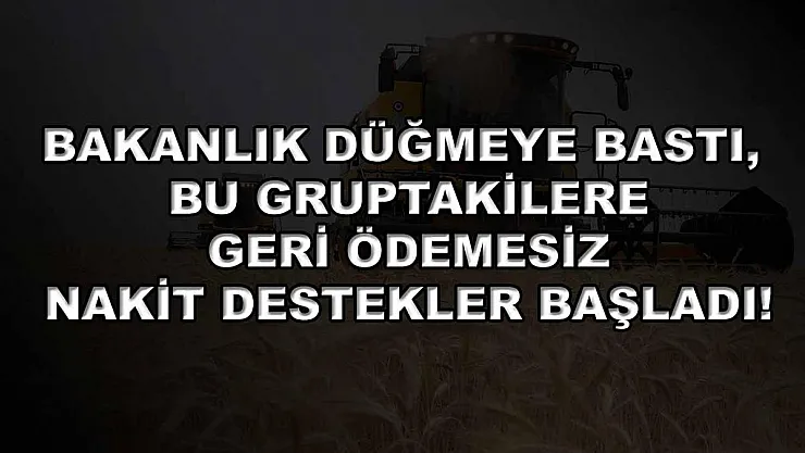 Bakanlık düğmeye bastı, bu gruptakilere geri ödemesiz nakit destekler başladı!