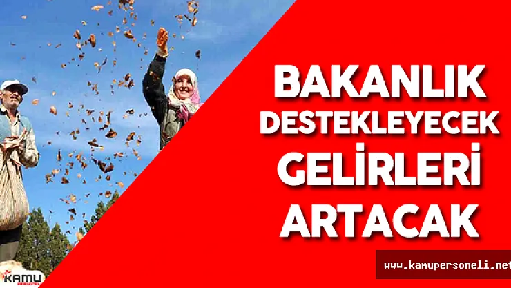Bakanlık Köylüyü Destekleyecek !  Köylünün Gelirleri Artıyor