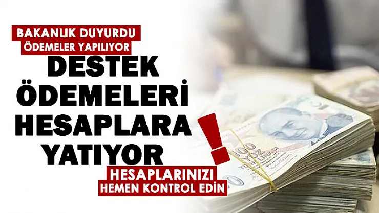 Bakanlıktan çok önemli duyuru geldi: Destek ödemeleri hesaplara yatmaya başladı! Hesaplarınızı kontrol edin