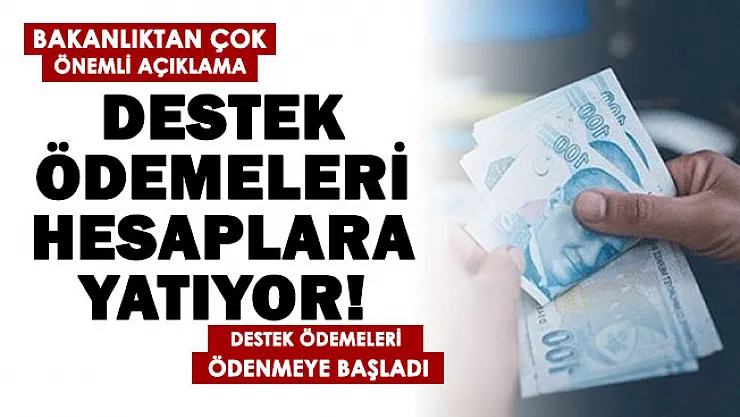 Bakanlıktan destek ödemesi duyurusu geldi! Destek ödemeleri yatırılmaya başlandı