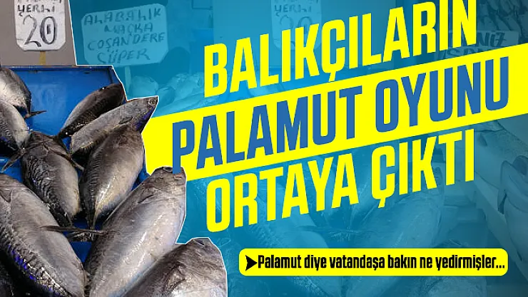 Balıkçıların palamut oyunu ortaya çıktı!
