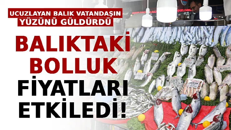 Balıktaki Bolluk Fiyatları Etkiledi! Ucuzlayan Balık Vatandaşın Yüzünü Güldürdü