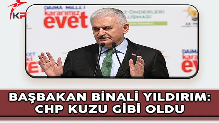 Başbakan Binali Yıldırım: CHP Birden Kuzu Gibi Oldu