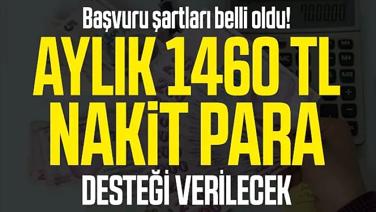 Başvuru şartları belli oldu! Aylık 1460 TL Nakit para desteği verilecek